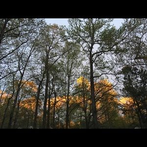 Meet your Posher, Carmen